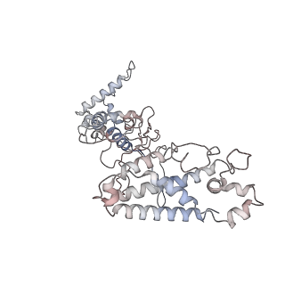 33837_7yhs_A_v1-0
Structure of Csy-AcrIF4-dsDNA