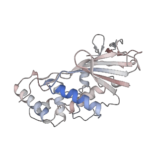 33837_7yhs_C_v1-0
Structure of Csy-AcrIF4-dsDNA