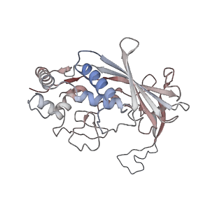 33837_7yhs_D_v1-0
Structure of Csy-AcrIF4-dsDNA