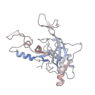 33837_7yhs_E_v1-0
Structure of Csy-AcrIF4-dsDNA