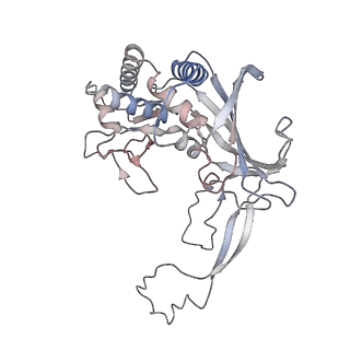 33837_7yhs_F_v1-0
Structure of Csy-AcrIF4-dsDNA