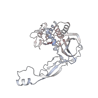 33837_7yhs_G_v1-0
Structure of Csy-AcrIF4-dsDNA