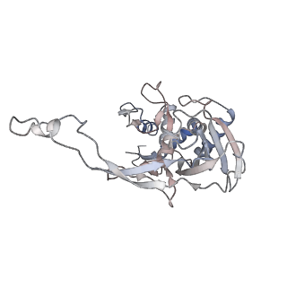 33837_7yhs_H_v1-0
Structure of Csy-AcrIF4-dsDNA