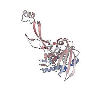 33837_7yhs_I_v1-0
Structure of Csy-AcrIF4-dsDNA
