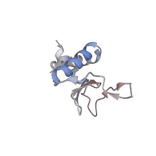 33837_7yhs_J_v1-0
Structure of Csy-AcrIF4-dsDNA