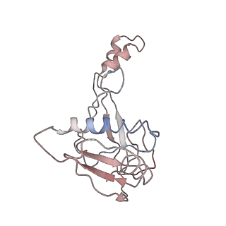 33837_7yhs_L_v1-0
Structure of Csy-AcrIF4-dsDNA