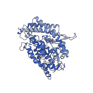 33841_7yhw_A_v1-1
Cryo-EM structure of SARS-CoV-2 Omicron BA.2.12.1 RBD in complex with human ACE2 (local refinement)