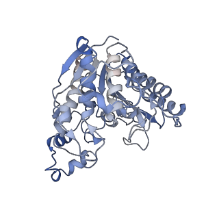 33845_7yi0_B_v1-2
Cryo-EM structure of Rpd3S complex
