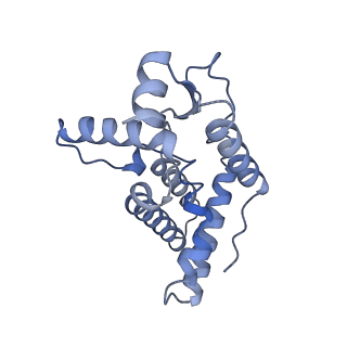 33845_7yi0_C_v1-2
Cryo-EM structure of Rpd3S complex