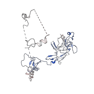 33845_7yi0_D_v1-2
Cryo-EM structure of Rpd3S complex