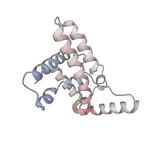 33845_7yi0_E_v1-2
Cryo-EM structure of Rpd3S complex