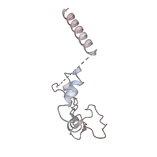33845_7yi0_F_v1-2
Cryo-EM structure of Rpd3S complex