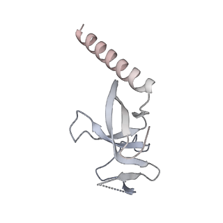 33848_7yi1_L_v1-2
Cryo-EM structure of Eaf3 CHD bound to H3K36me3 nucleosome