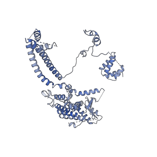 33849_7yi2_A_v1-2
Cryo-EM structure of Rpd3S in loose-state Rpd3S-NCP complex