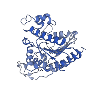33849_7yi2_B_v1-2
Cryo-EM structure of Rpd3S in loose-state Rpd3S-NCP complex