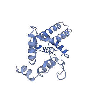 33849_7yi2_C_v1-2
Cryo-EM structure of Rpd3S in loose-state Rpd3S-NCP complex