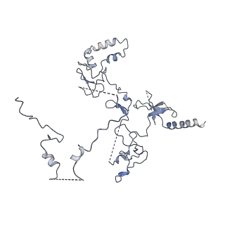 33849_7yi2_D_v1-2
Cryo-EM structure of Rpd3S in loose-state Rpd3S-NCP complex