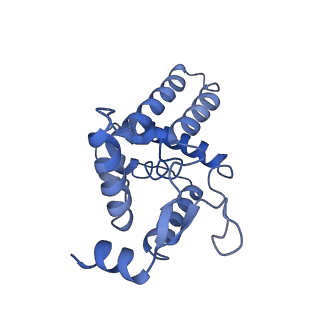 33850_7yi3_C_v1-2
Cryo-EM structure of Rpd3S in close-state Rpd3S-NCP complex