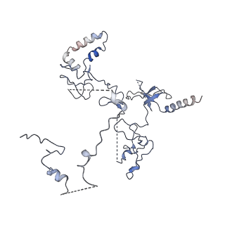 33850_7yi3_D_v1-2
Cryo-EM structure of Rpd3S in close-state Rpd3S-NCP complex