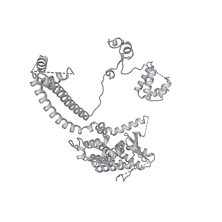 33851_7yi4_A_v1-2
Cryo-EM structure of Rpd3S complex bound to H3K36me3 nucleosome in close state
