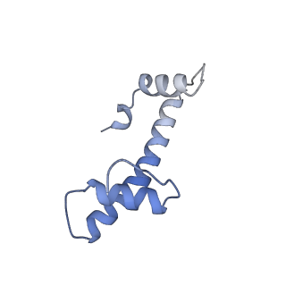33851_7yi4_H_v1-2
Cryo-EM structure of Rpd3S complex bound to H3K36me3 nucleosome in close state