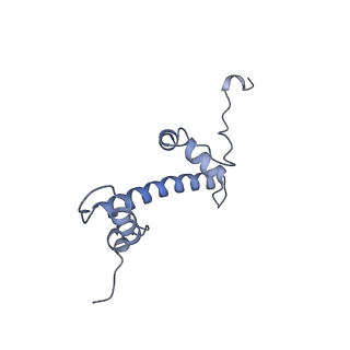 33851_7yi4_I_v1-2
Cryo-EM structure of Rpd3S complex bound to H3K36me3 nucleosome in close state