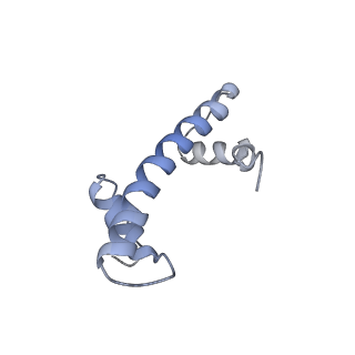 33851_7yi4_L_v1-2
Cryo-EM structure of Rpd3S complex bound to H3K36me3 nucleosome in close state
