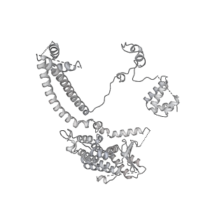 33852_7yi5_A_v1-2
Cryo-EM structure of Rpd3S complex bound to H3K36me3 nucleosome in loose state