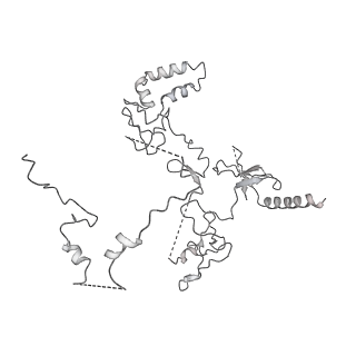 33852_7yi5_D_v1-2
Cryo-EM structure of Rpd3S complex bound to H3K36me3 nucleosome in loose state