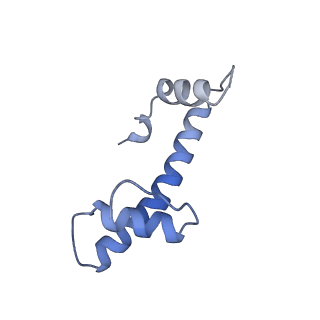 33852_7yi5_H_v1-2
Cryo-EM structure of Rpd3S complex bound to H3K36me3 nucleosome in loose state