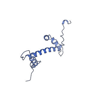 33852_7yi5_I_v1-2
Cryo-EM structure of Rpd3S complex bound to H3K36me3 nucleosome in loose state