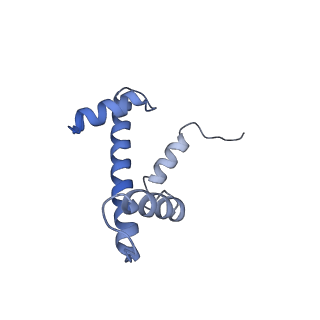 33852_7yi5_K_v1-2
Cryo-EM structure of Rpd3S complex bound to H3K36me3 nucleosome in loose state