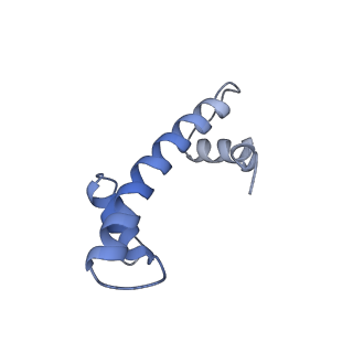 33852_7yi5_L_v1-2
Cryo-EM structure of Rpd3S complex bound to H3K36me3 nucleosome in loose state