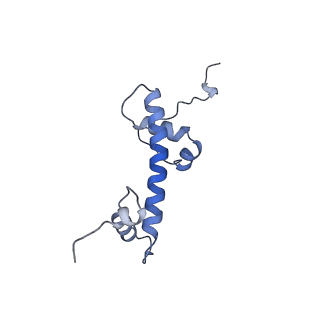 33852_7yi5_M_v1-2
Cryo-EM structure of Rpd3S complex bound to H3K36me3 nucleosome in loose state