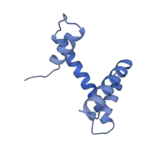 33852_7yi5_N_v1-2
Cryo-EM structure of Rpd3S complex bound to H3K36me3 nucleosome in loose state