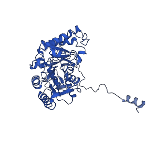 33864_7yiu_A_v1-1
Cryo-EM structure of the C6-ceramide-bound SPT-ORMDL3 complex