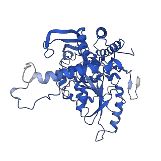 33864_7yiu_B_v1-1
Cryo-EM structure of the C6-ceramide-bound SPT-ORMDL3 complex