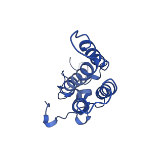 33864_7yiu_D_v1-1
Cryo-EM structure of the C6-ceramide-bound SPT-ORMDL3 complex