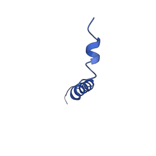 33864_7yiu_E_v1-1
Cryo-EM structure of the C6-ceramide-bound SPT-ORMDL3 complex