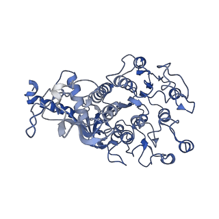 33865_7yix_A_v1-0
The Cryo-EM Structure of Human Tissue Nonspecific Alkaline Phosphatase and Single-Chain Fragment Variable (ScFv) Complex.