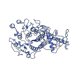 33865_7yix_B_v1-0
The Cryo-EM Structure of Human Tissue Nonspecific Alkaline Phosphatase and Single-Chain Fragment Variable (ScFv) Complex.