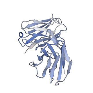 33865_7yix_C_v1-0
The Cryo-EM Structure of Human Tissue Nonspecific Alkaline Phosphatase and Single-Chain Fragment Variable (ScFv) Complex.