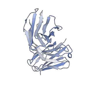 33865_7yix_D_v1-0
The Cryo-EM Structure of Human Tissue Nonspecific Alkaline Phosphatase and Single-Chain Fragment Variable (ScFv) Complex.