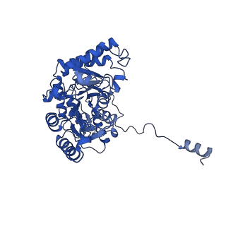 33866_7yiy_A_v1-0
Cryo-EM structure of SPT-ORMDL3 complex