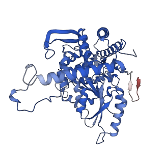 33866_7yiy_B_v1-1
Cryo-EM structure of SPT-ORMDL3 complex