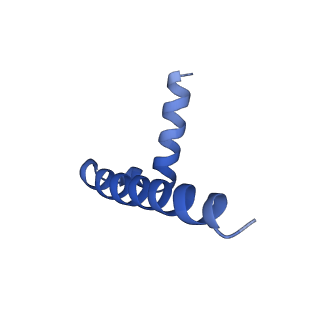 33866_7yiy_C_v1-1
Cryo-EM structure of SPT-ORMDL3 complex