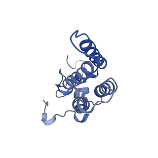 33866_7yiy_D_v1-1
Cryo-EM structure of SPT-ORMDL3 complex