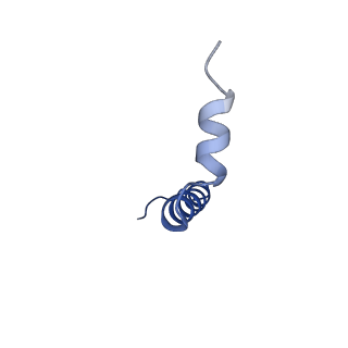 33866_7yiy_E_v1-1
Cryo-EM structure of SPT-ORMDL3 complex