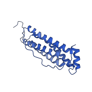 6830_5yi5_A_v1-3
human ferritin mutant - E-helix deletion