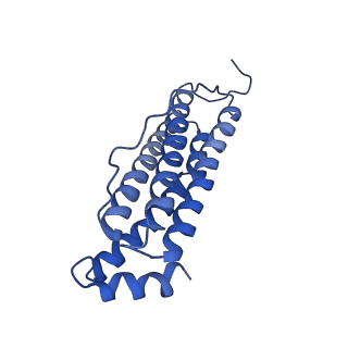 6830_5yi5_D_v1-3
human ferritin mutant - E-helix deletion